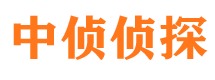 松北市私家侦探